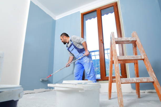 Best Post-Construction Mold Inspection  in Folkston, GA