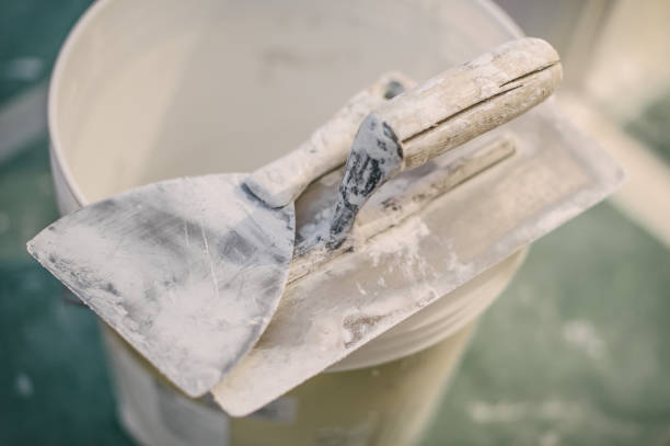 Best Mold Damage Restoration  in Folkston, GA